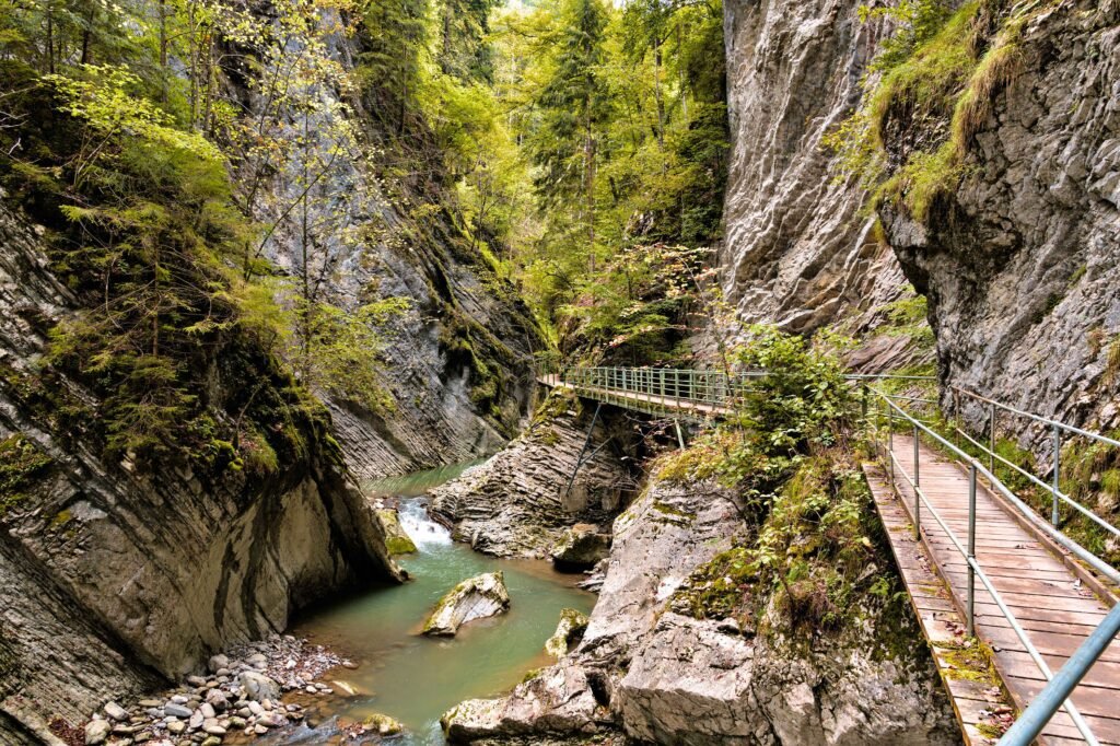 Basho Valley wooden bridge and pine trees Skardu